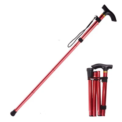 2-Section Easy Locking Light Aluminum Alloy Trekking Sticks Hiking Nordic Walking Pole