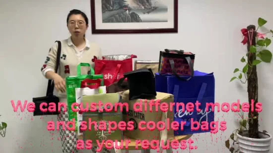 Custom 6 Pack Non Woven Insulated Thermal Lunch Cooler Bag Wholesale China Manufacture